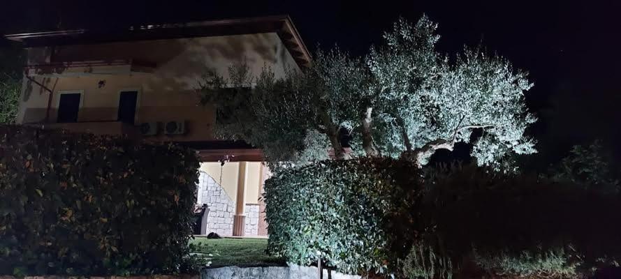B&B Stazione La Reggia Caserta Kültér fotó